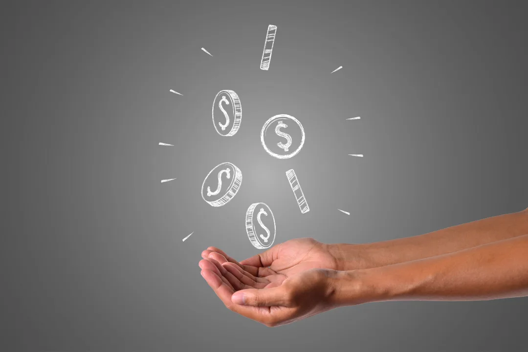 Guaranteed income programs